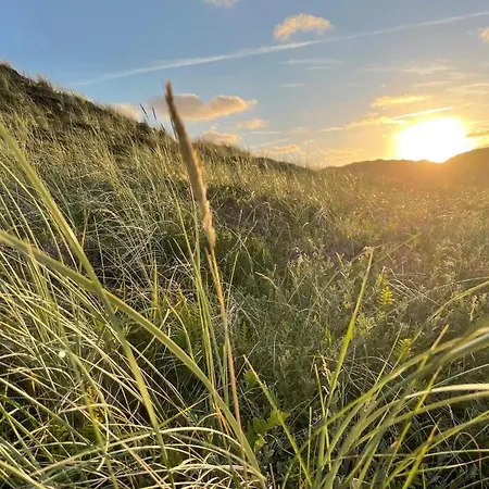 6 Person In Hvide Sande-by Traum *